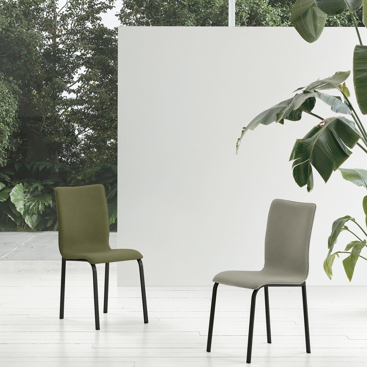 Due sedie moderne GLAMOUR NEW in tonalità verde oliva e beige, sfondo bianco e piante, stile minimalista per interni contemporanei.