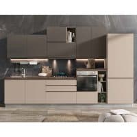 Cucina moderna con armadi grigi e elettrodomestici integrati, design elegante e funzionale.