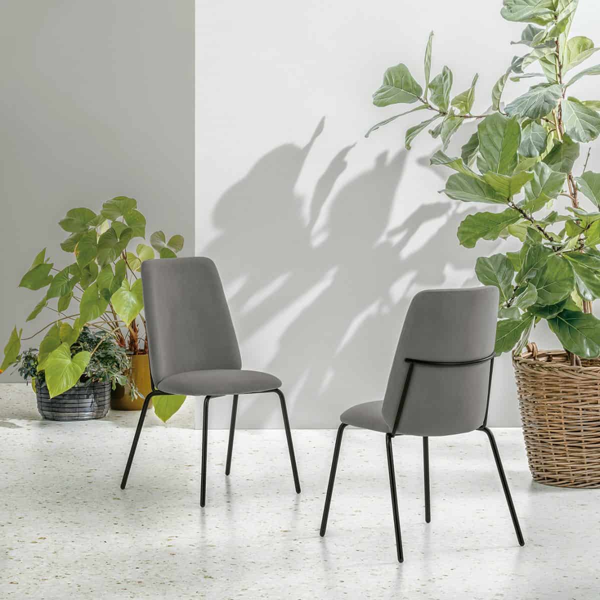 Due sedie EASY in tessuto grigio in un ambiente minimalista con piante verdi e luce naturale.